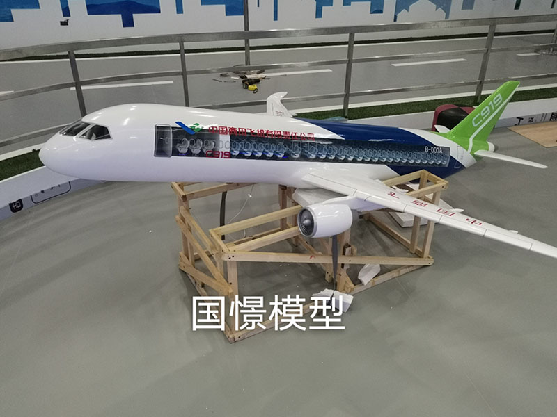 黔东南飞机模型