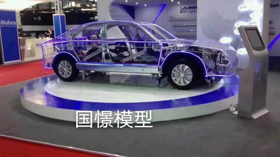 黔东南透明车模型